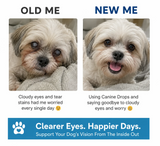NordiVision Clear Vision drops for dogs